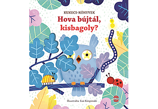 Sam Taplin - Kukucs Könyvek: Hova bújtál, kisbagoly?