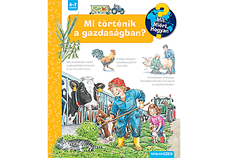 Andrea Erne - Mit? Miért? Hogyan? - Mi történik a gazdaságban?