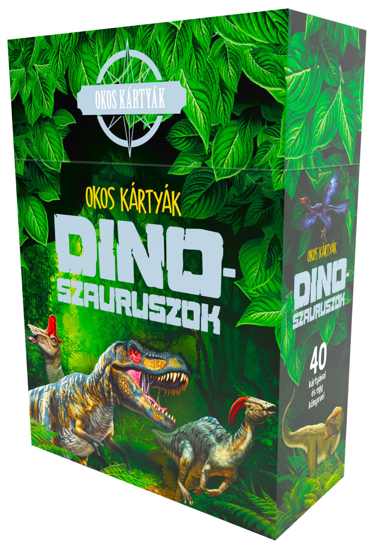 Napraforgó Könyvkiadó - Okos kártyák Dinoszauruszok
