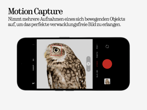 Smartphone-Bildschirm mit einem scharfen Eulenaauge und Videoaufnahmeoptionen.