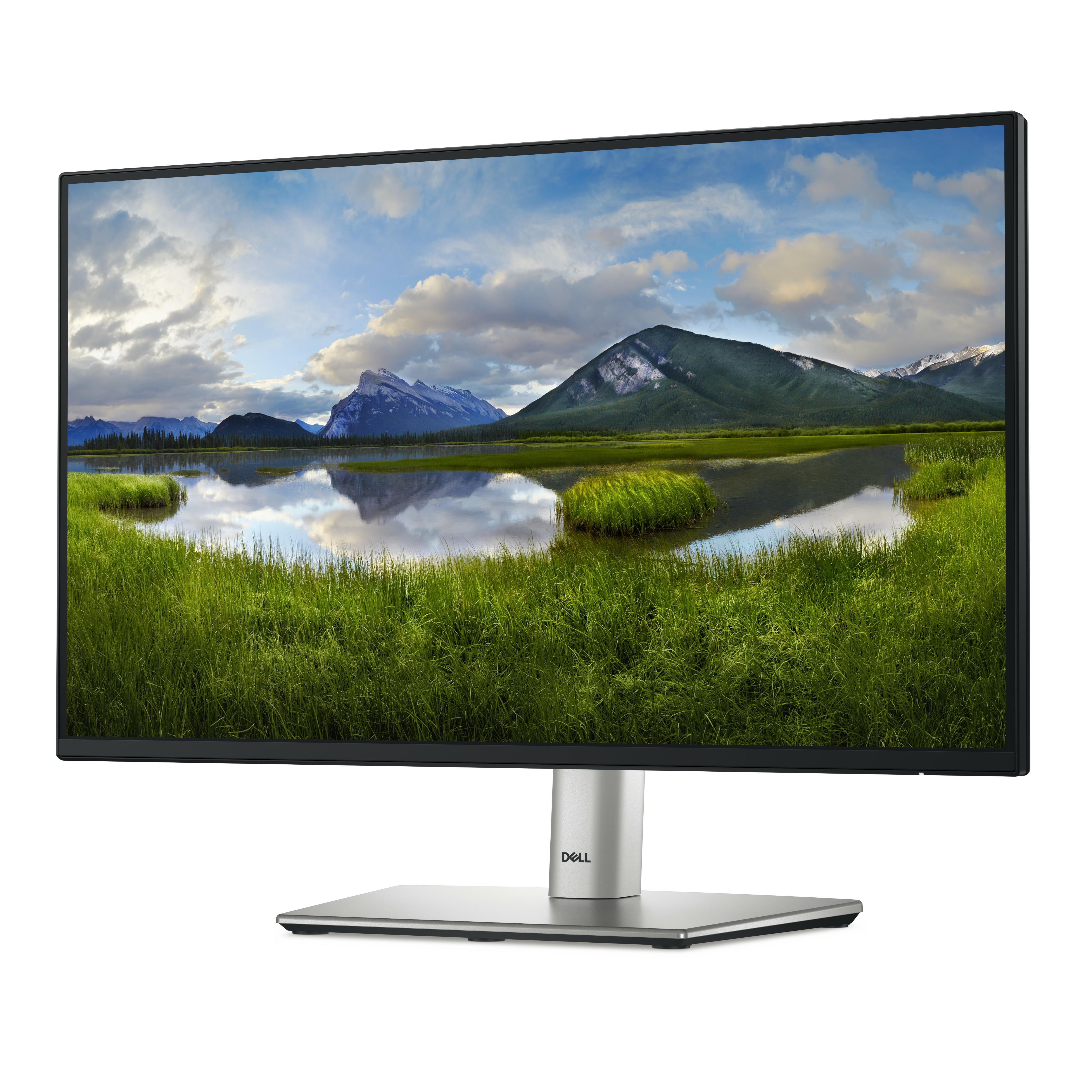 Ein Computermonitor, der eine Landschaft mit Bergen, Wasser und grünem Gras anzeigt.