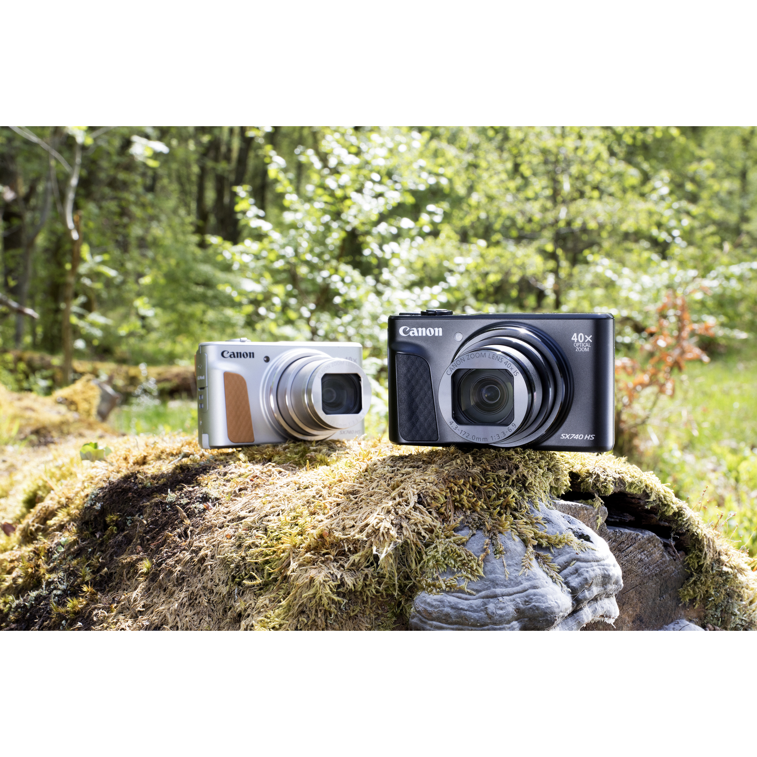 Deux appareils photo Canon sur une bûche moussue dans une forêt. Un argenté, l'autre noir.