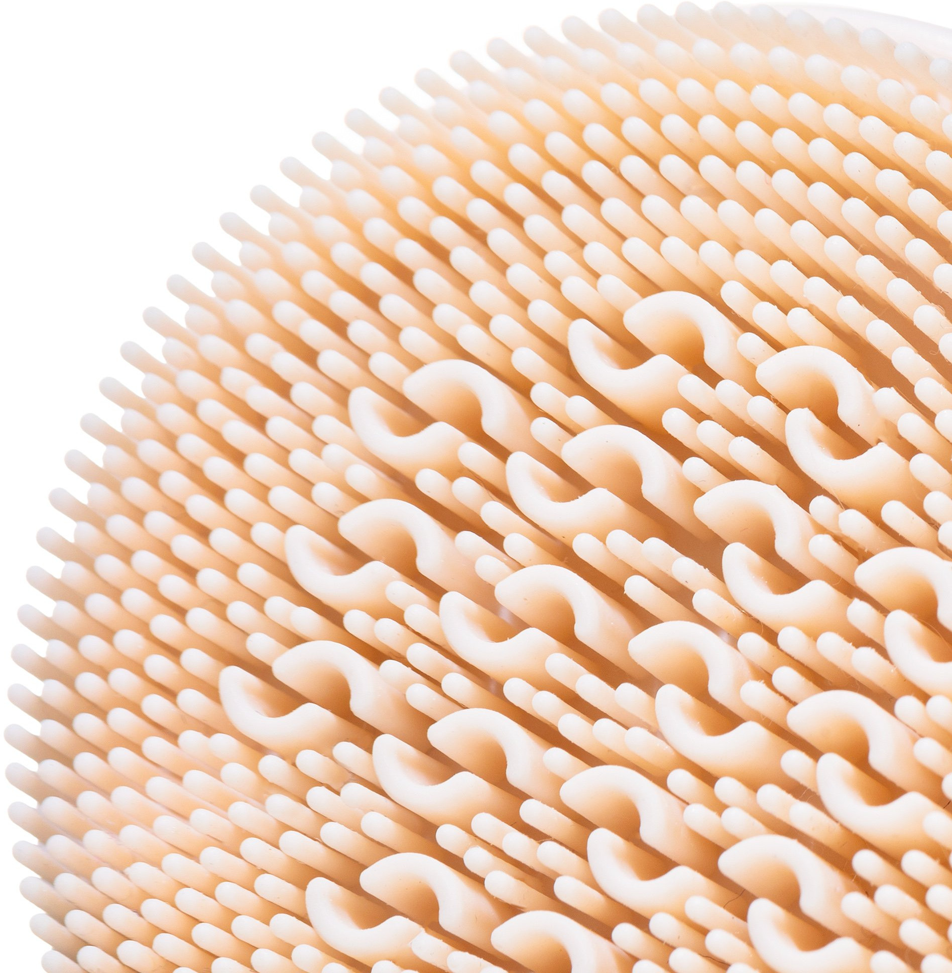 Zbliżenie beżowej, teksturowanej szczotki do czyszczenia, pokazujące jej włosie na białym tle.