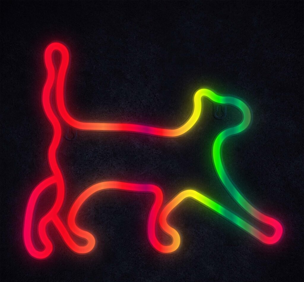 Neonowy kontur kota w kolorze czerwonym, żółtym, zielonym i różowym na czarnym tle.