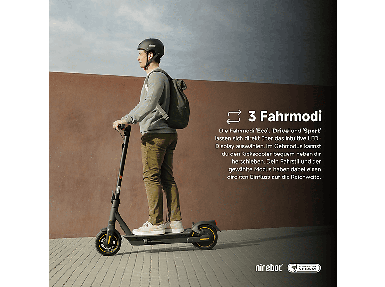 NINEBOT KickScooter MAX G2D powered by Segway E-Scooter (10 Zoll, Schwarz)