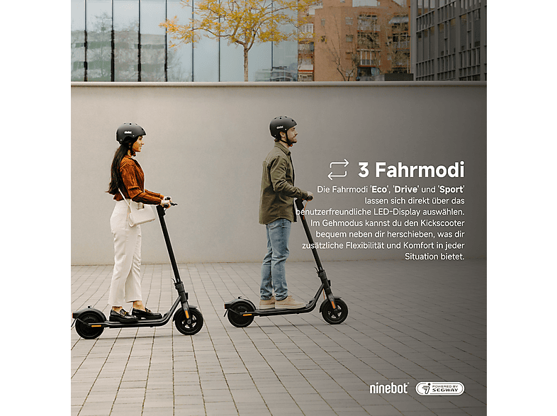 NINEBOT F2 Plus D E-Scooter (10 Zoll, Black)