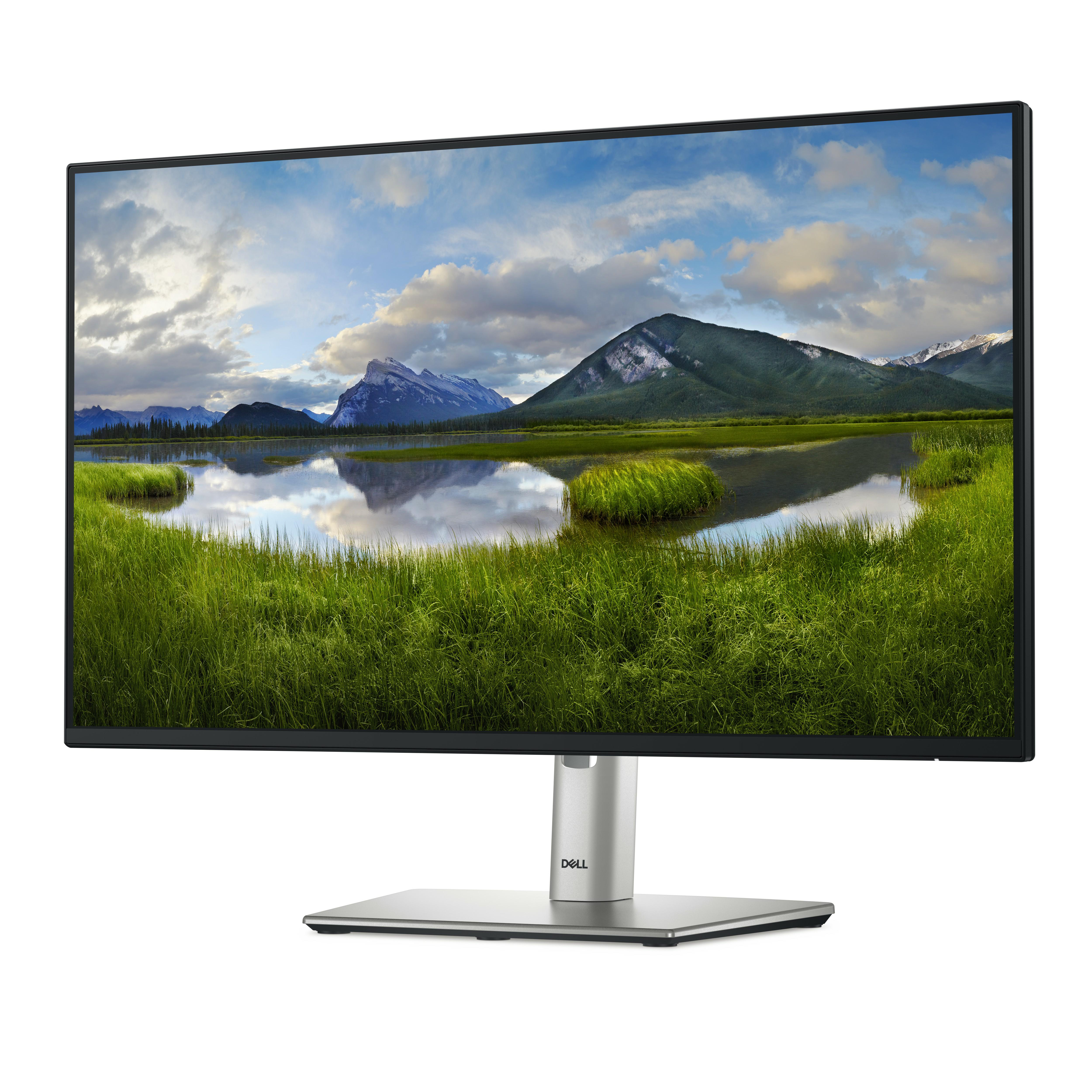 Ein Computermonitor zeigt eine malerische Aussicht. Grünes Gras, Berge und ein See sind sichtbar.