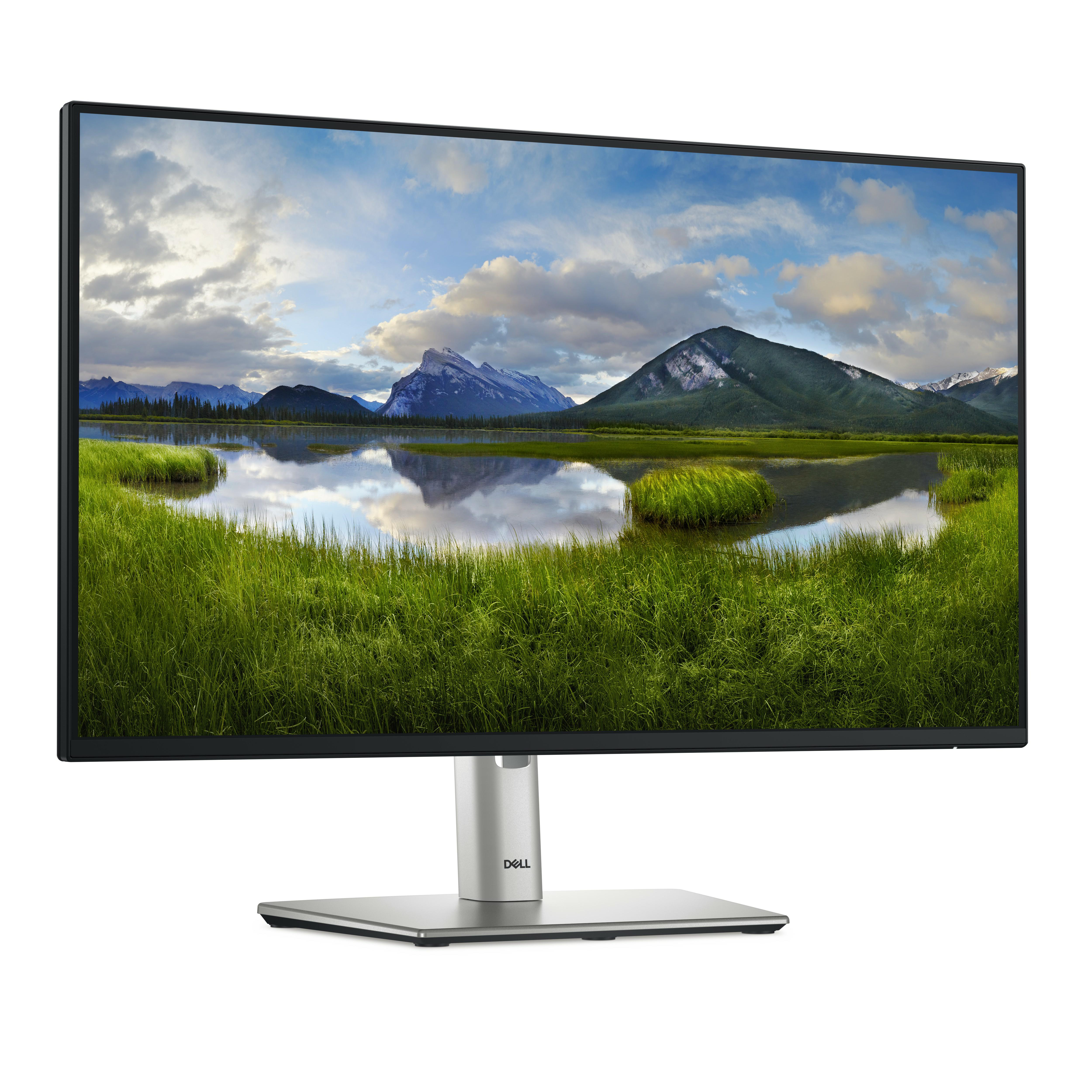 Ein Dell Monitor zeigt eine malerische Landschaft mit Bergen, See und grünen Feldern. Er steht auf einem silbernen Ständer.