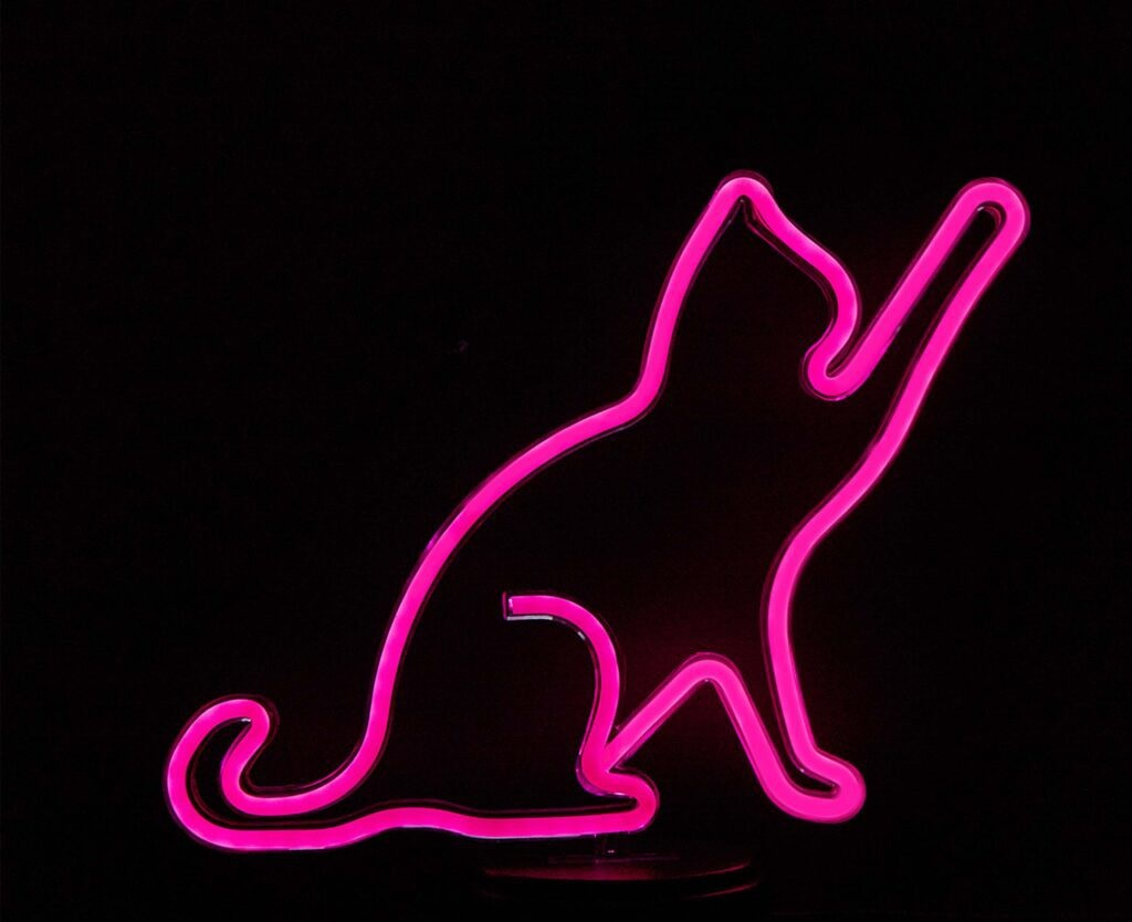 Różowy neonowy kontur kota na czarnym tle. Kot siedzi z jedną łapą uniesioną.