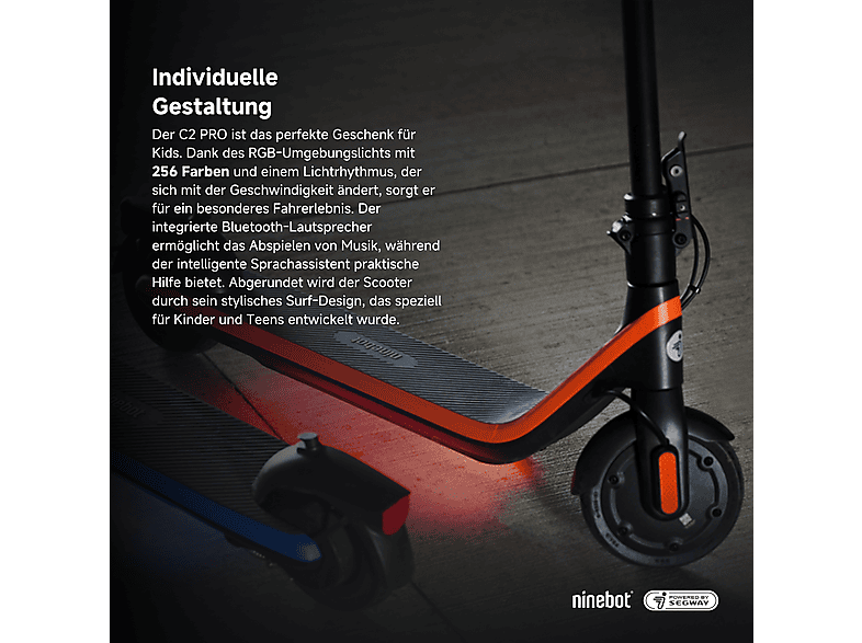 Segway-Ninebot F20 D E-Scooter (10 Zoll, Schwarz)