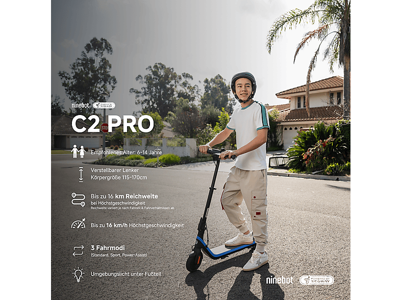 Segway-Ninebot F20 D E-Scooter (10 Zoll, Schwarz)
