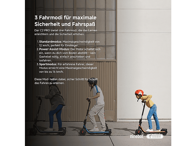 Segway-Ninebot F20 D E-Scooter (10 Zoll, Schwarz)