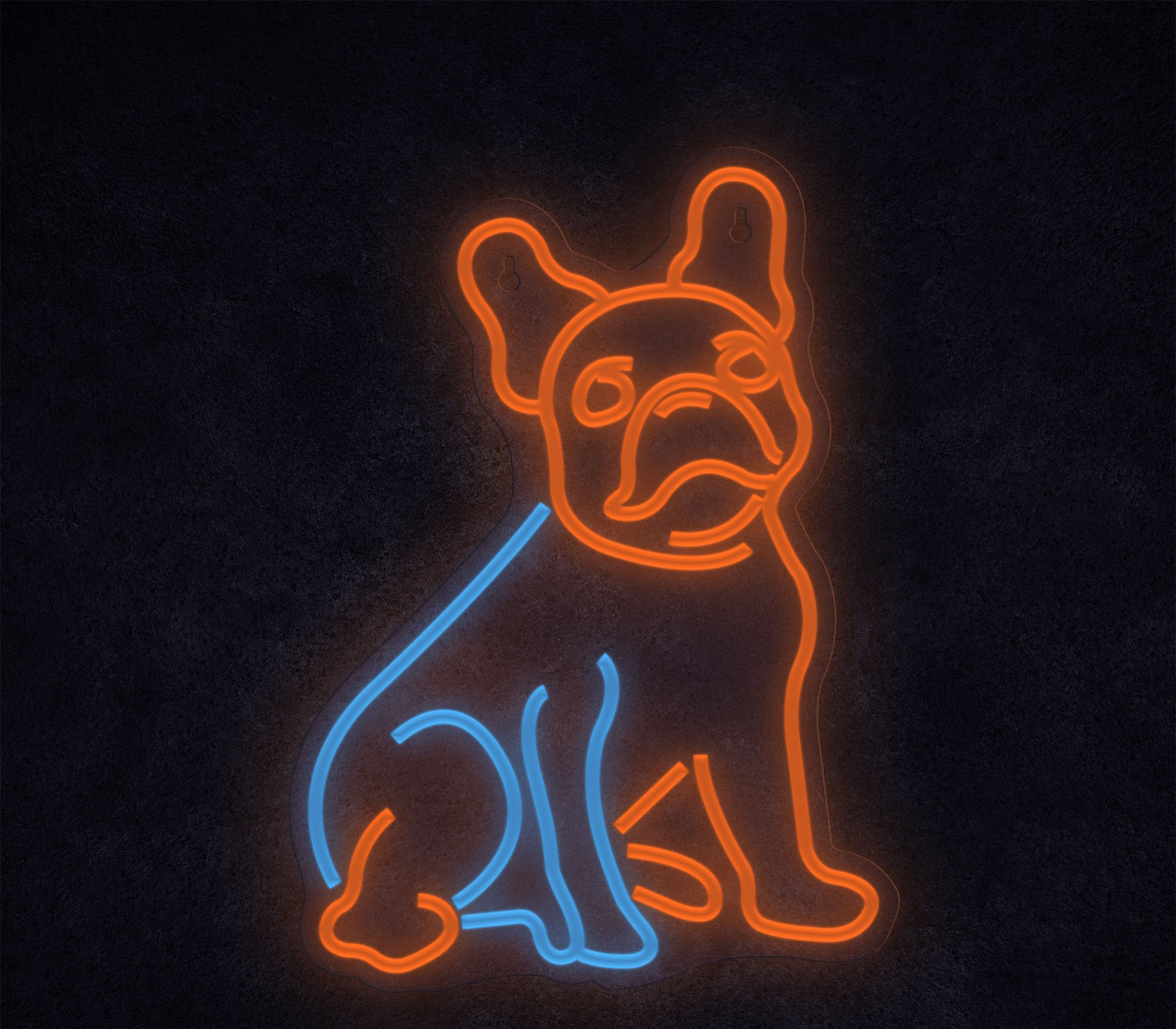 Neonowy zarys buldoga francuskiego w kolorze pomarańczowym i niebieskim na ciemnym, teksturowanym tle.