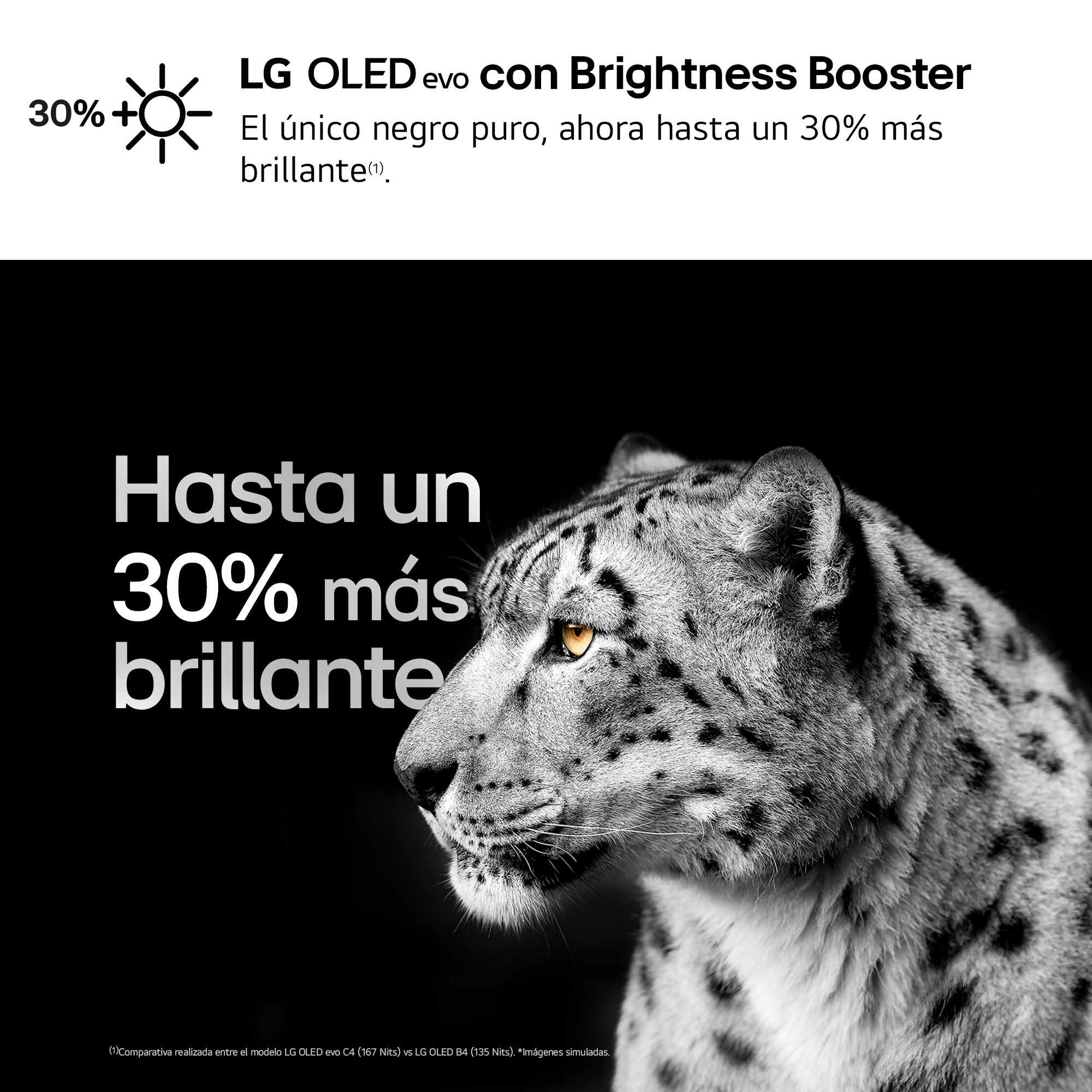 Leopardo de las nieves con ojos brillantes. Texto: 30% más brillante, LG OLED evo con Brightness Booster.