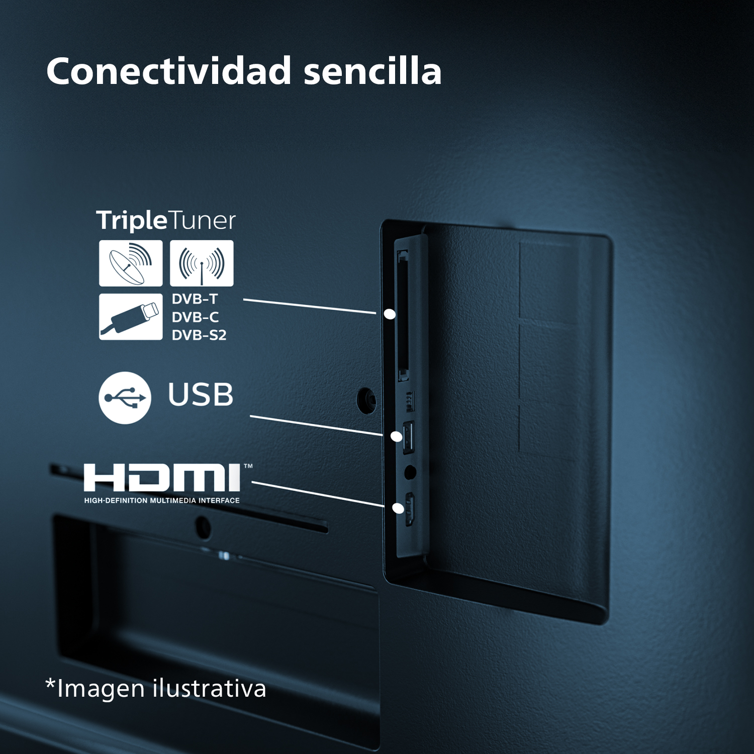 Primer plano del panel trasero de un televisor que muestra puertos para Triple Tuner, USB y HDMI.