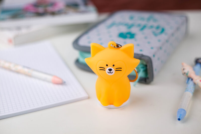 Pomarańczowa breloczek z liskiem na biurku z długopisami.