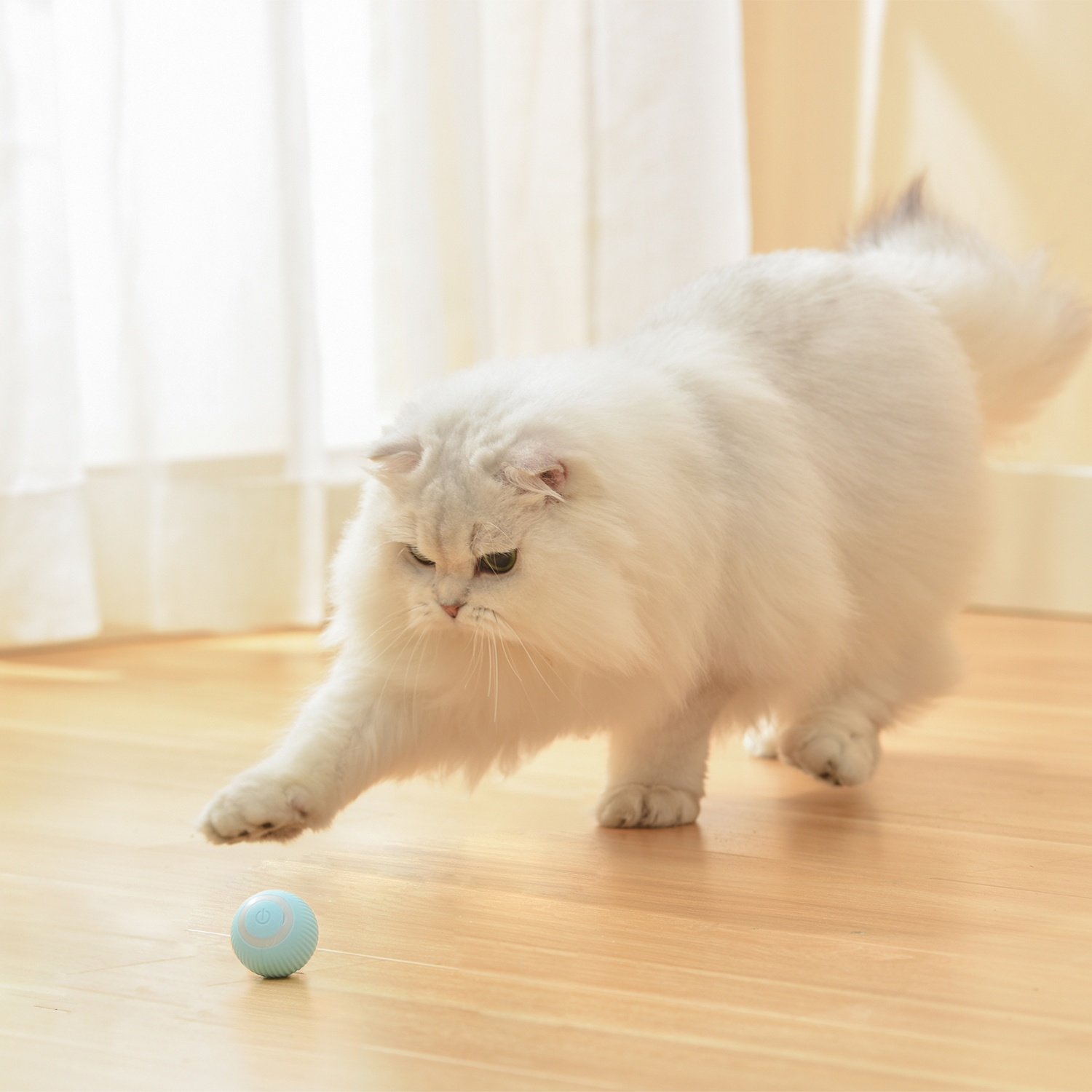 Gatto bianco che gioca con una palla blu. Il gatto è su un pavimento di legno e cerca di prendere la palla.