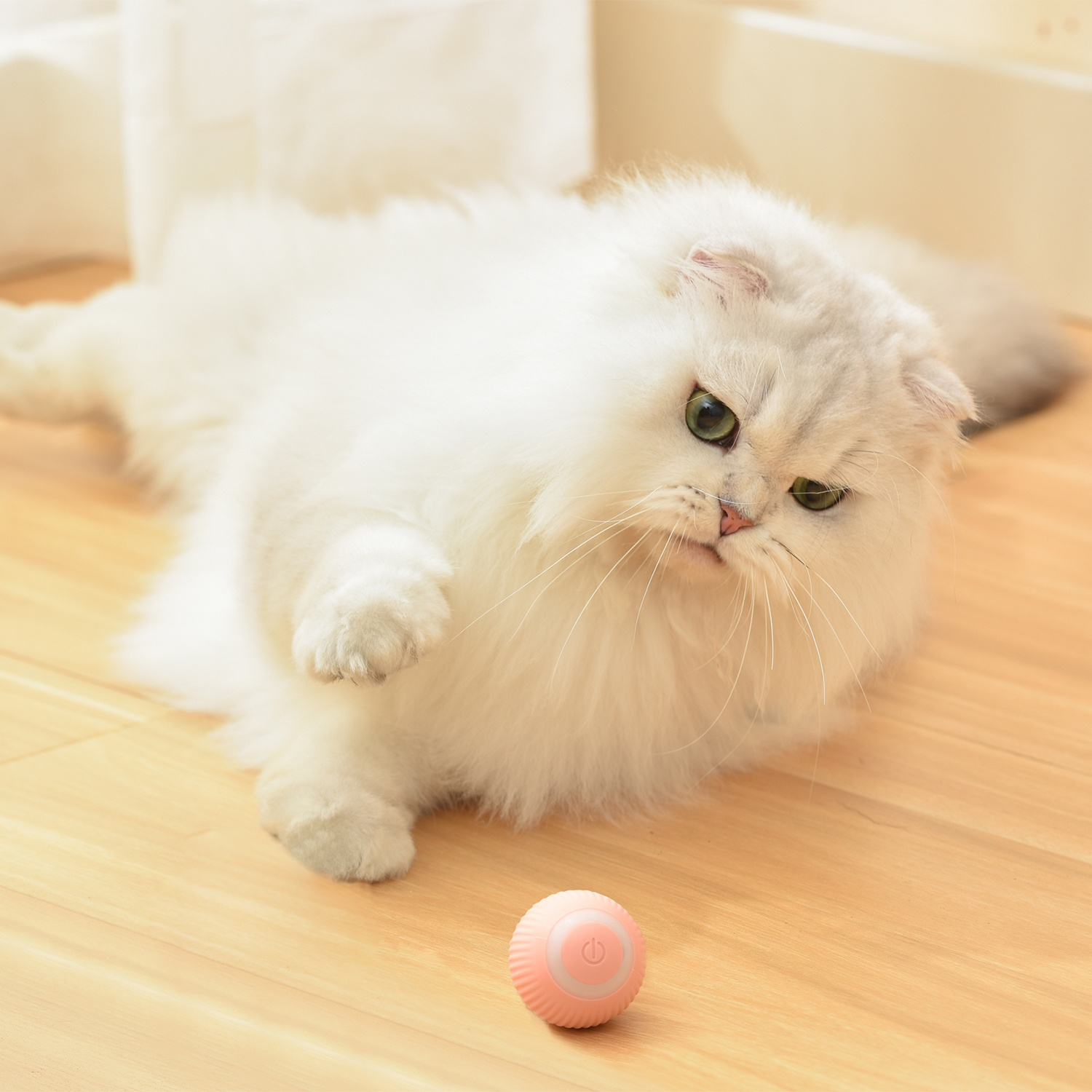 Gatto bianco con occhi verdi, gioca con una palla rosa su un pavimento in legno.