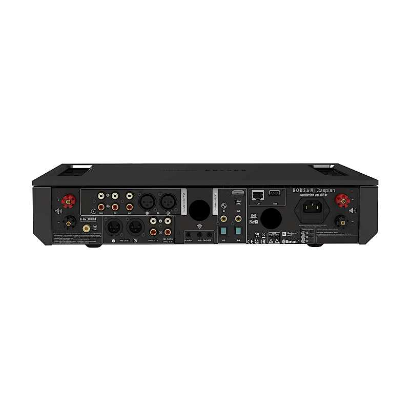 Rückseite eines schwarzen Roksan Caspian Audioverstärkers mit verschiedenen Anschlüssen.