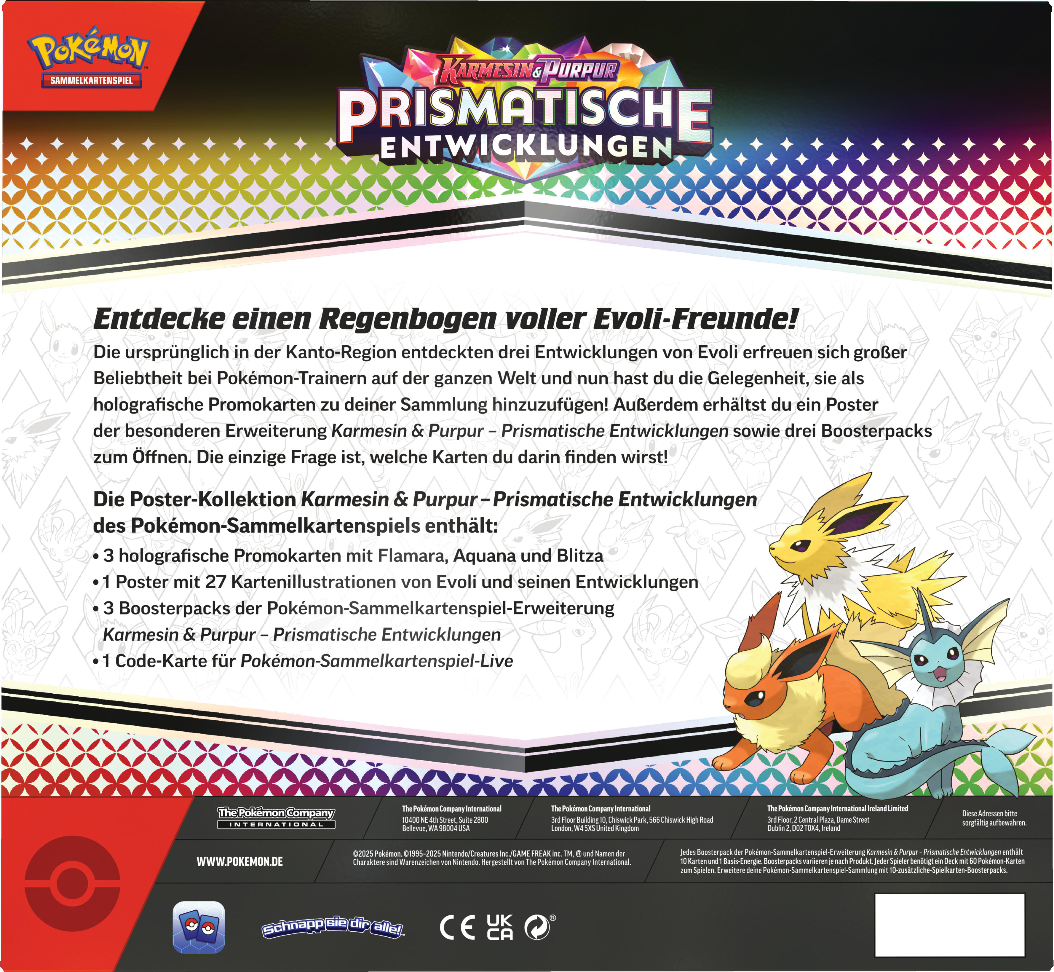 Rückseite einer Pokémon-Kartenpackung mit Text und Charakteren.