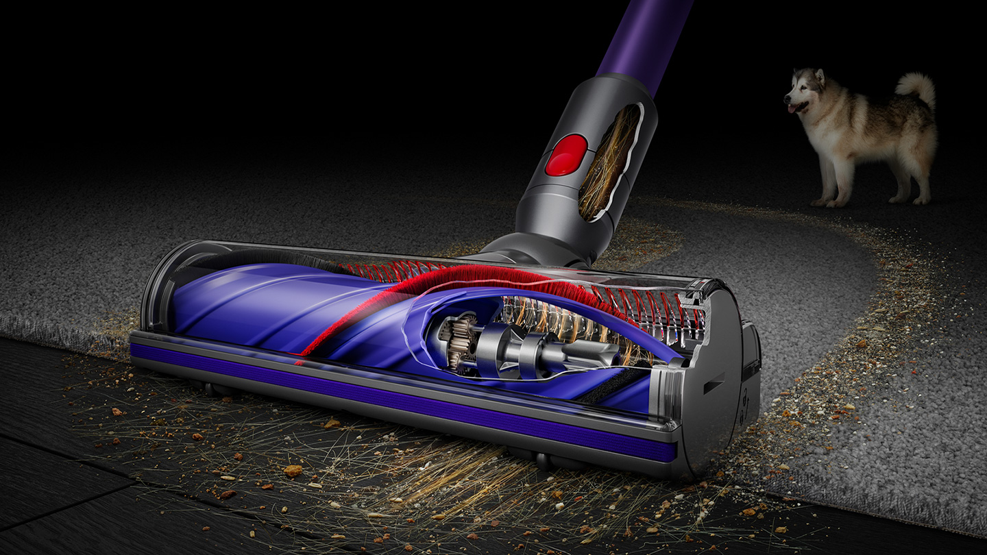 Głowica odkurzacza w przekroju. Pies w tle, z czystymi i brudnymi obszarami.