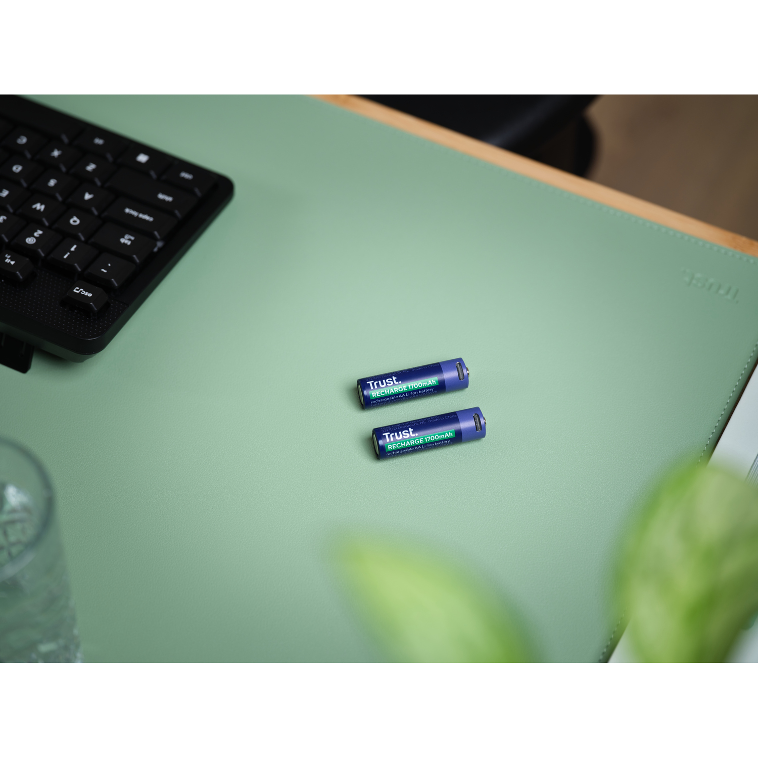 Twee Trust oplaadbare batterijen op een groen oppervlak. Een toetsenbord op de achtergrond.
