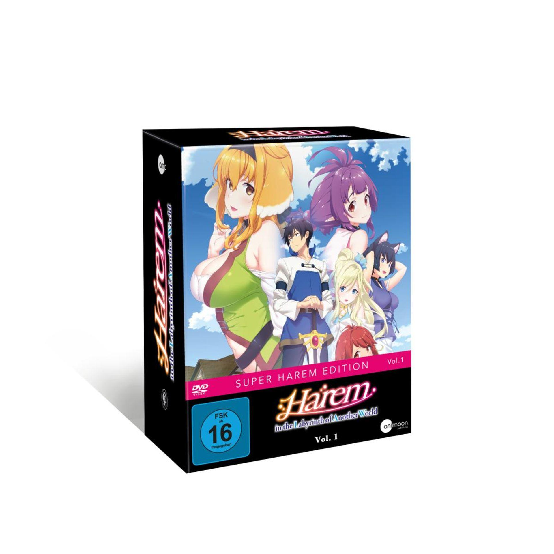 Eine Box einer Anime-DVD mit Figuren und Text.