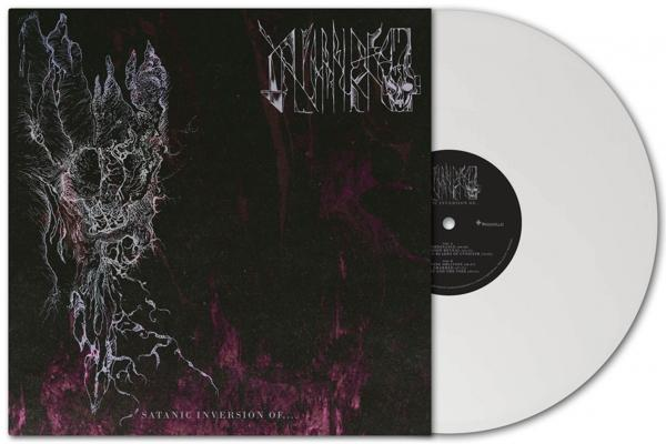 Vinyl-Schallplattenhülle. Dunkles Cover mit weißem Text und eine weiße Schallplatte.