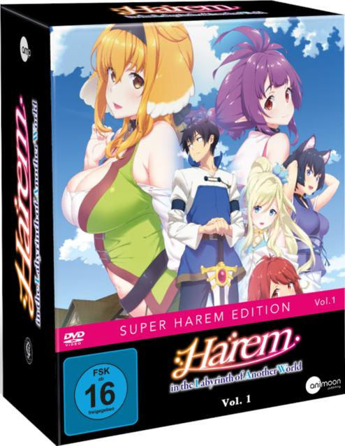 Anime-Box-Set mit mehreren Charakteren auf dem Cover.