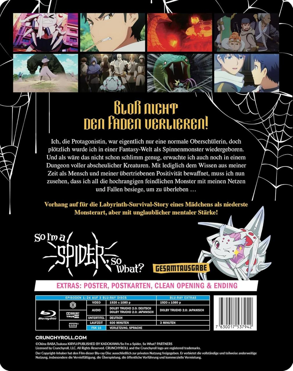 Eine japanische Animations-DVD-Hülle, mit Charakteren und Text auf Japanisch und Englisch.