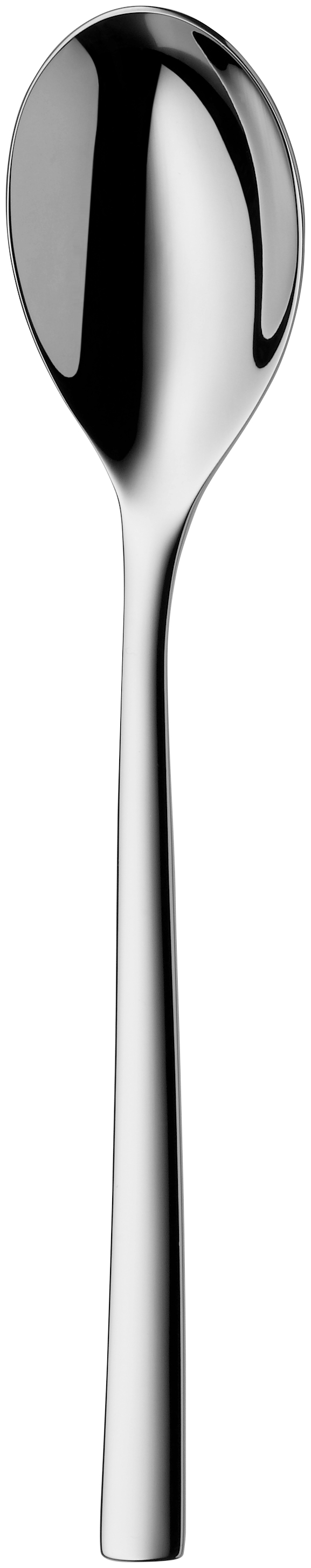 Silberner Löffel mit langem, schlankem Stiel. Der Löffel ist reflektierend.