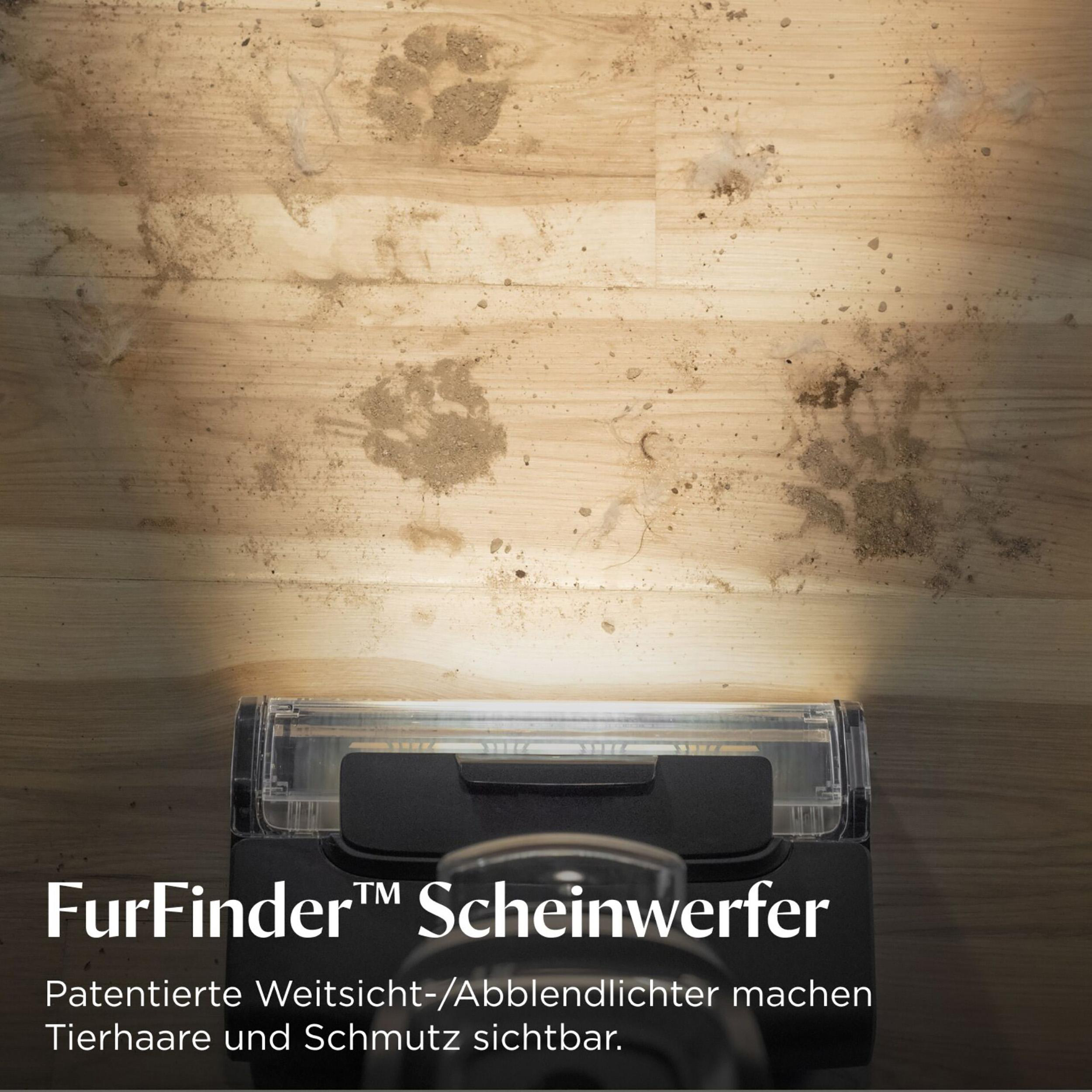Ein Staubsaugerkopf auf Holzboden mit Schmutz und Text über Fell und Licht.