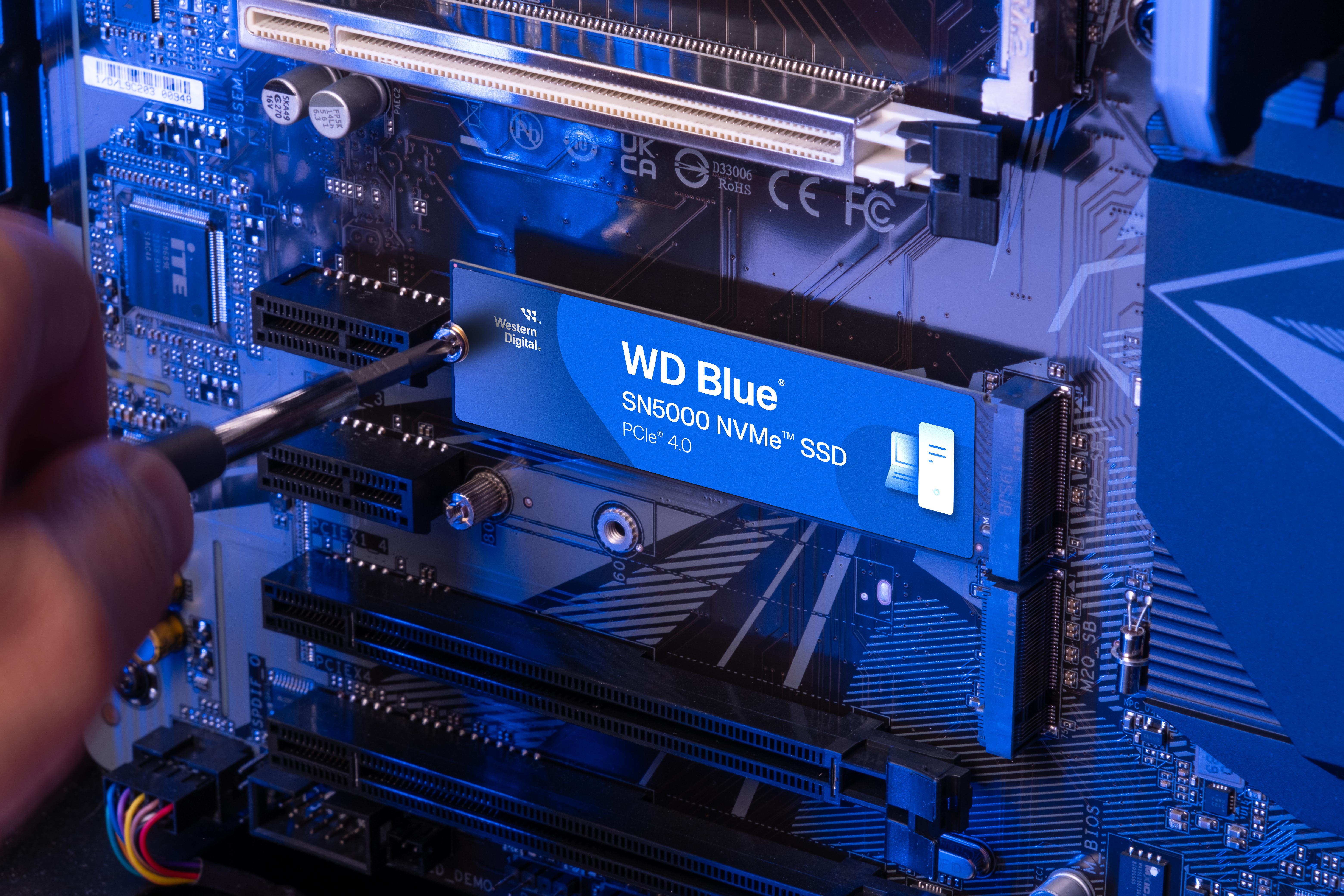 Eine Person installiert eine WD Blue SSD in ein Motherboard. Die blaue SSD ist im Fokus.