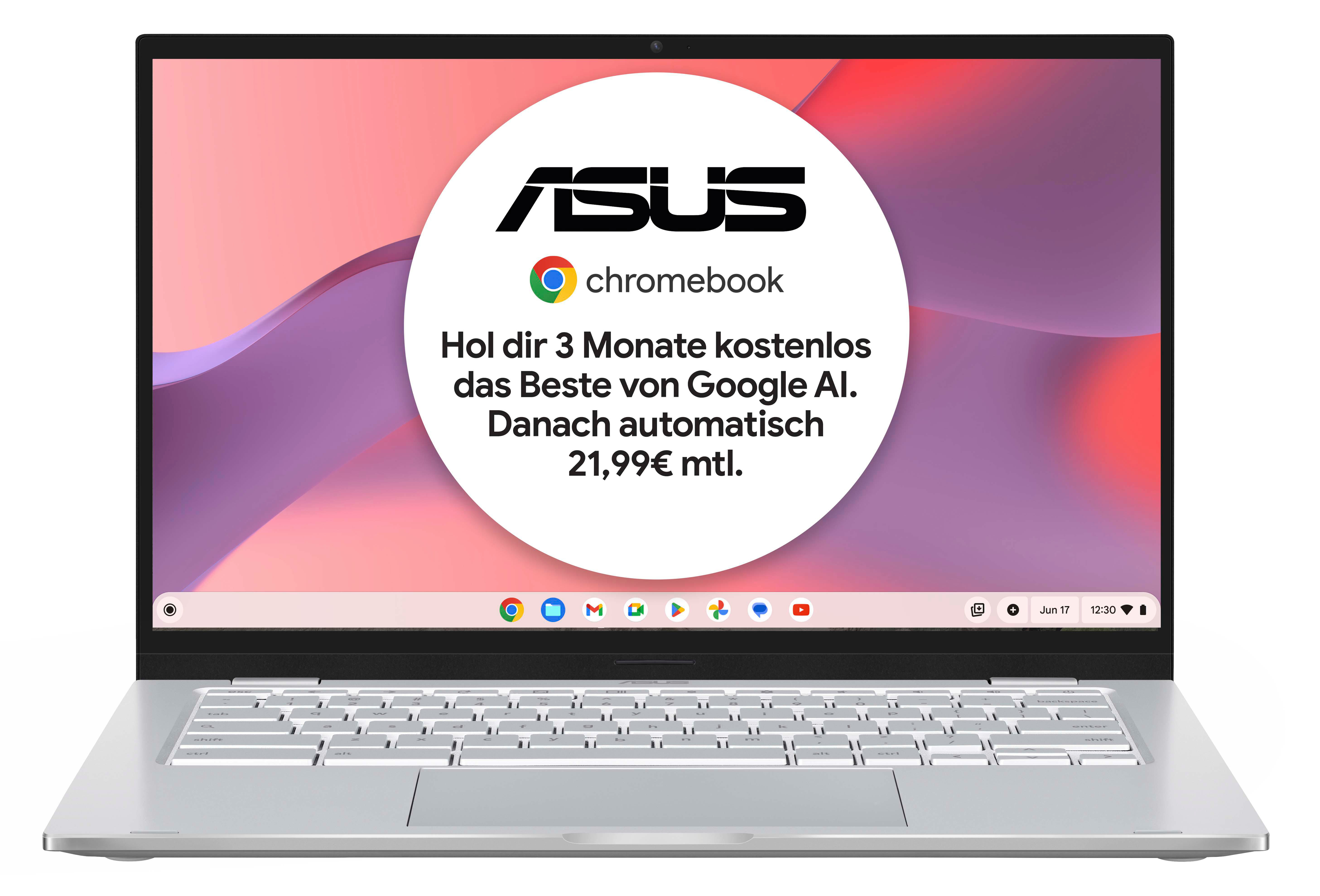 ASUS Chromebook C425 (C425TA-H50081) bei MediaMarkt