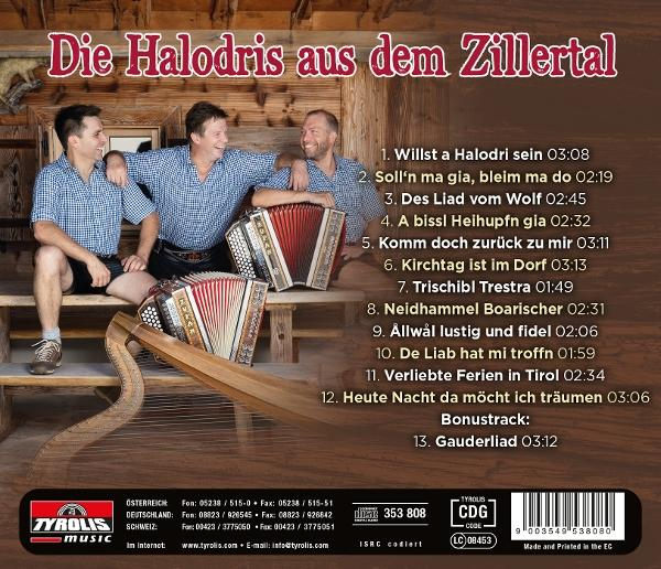 Ein CD-Cover mit drei Männern und Noten vor Bergen.