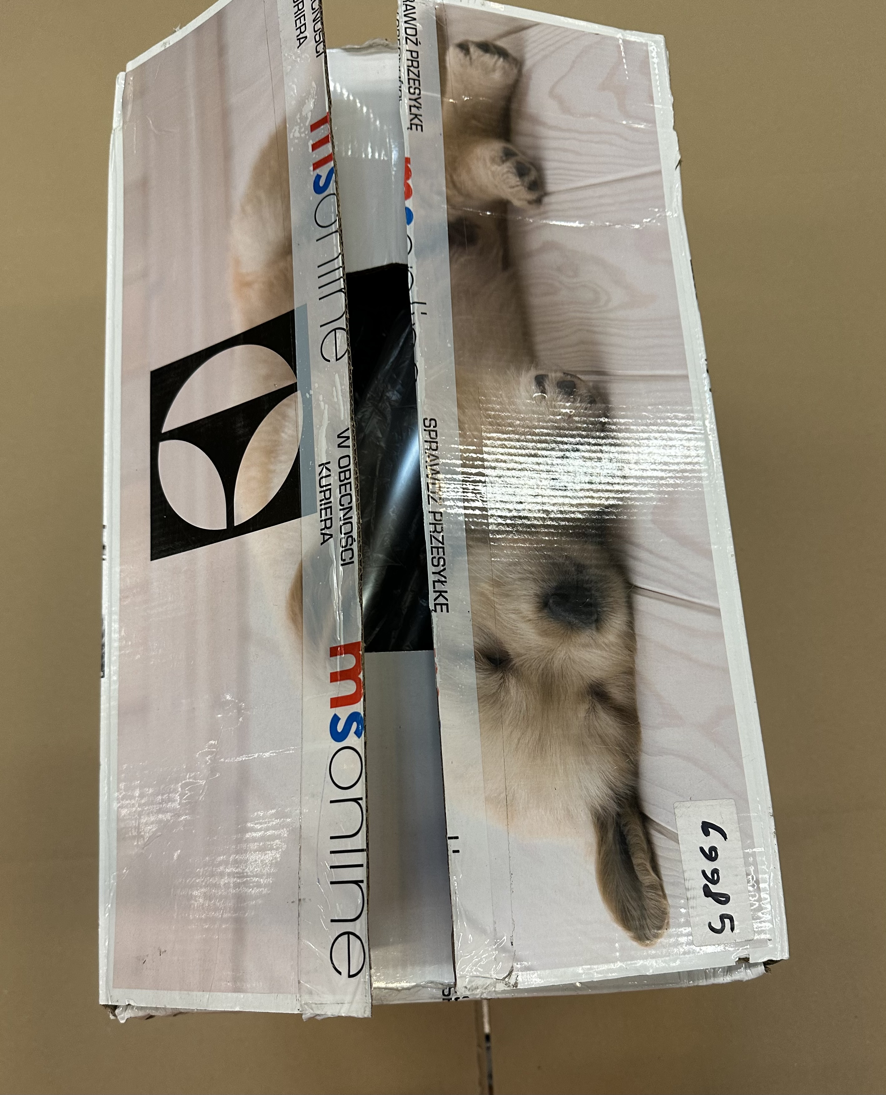 OUTLET - Odkurzacz workowy ELECTROLUX EEG42EB