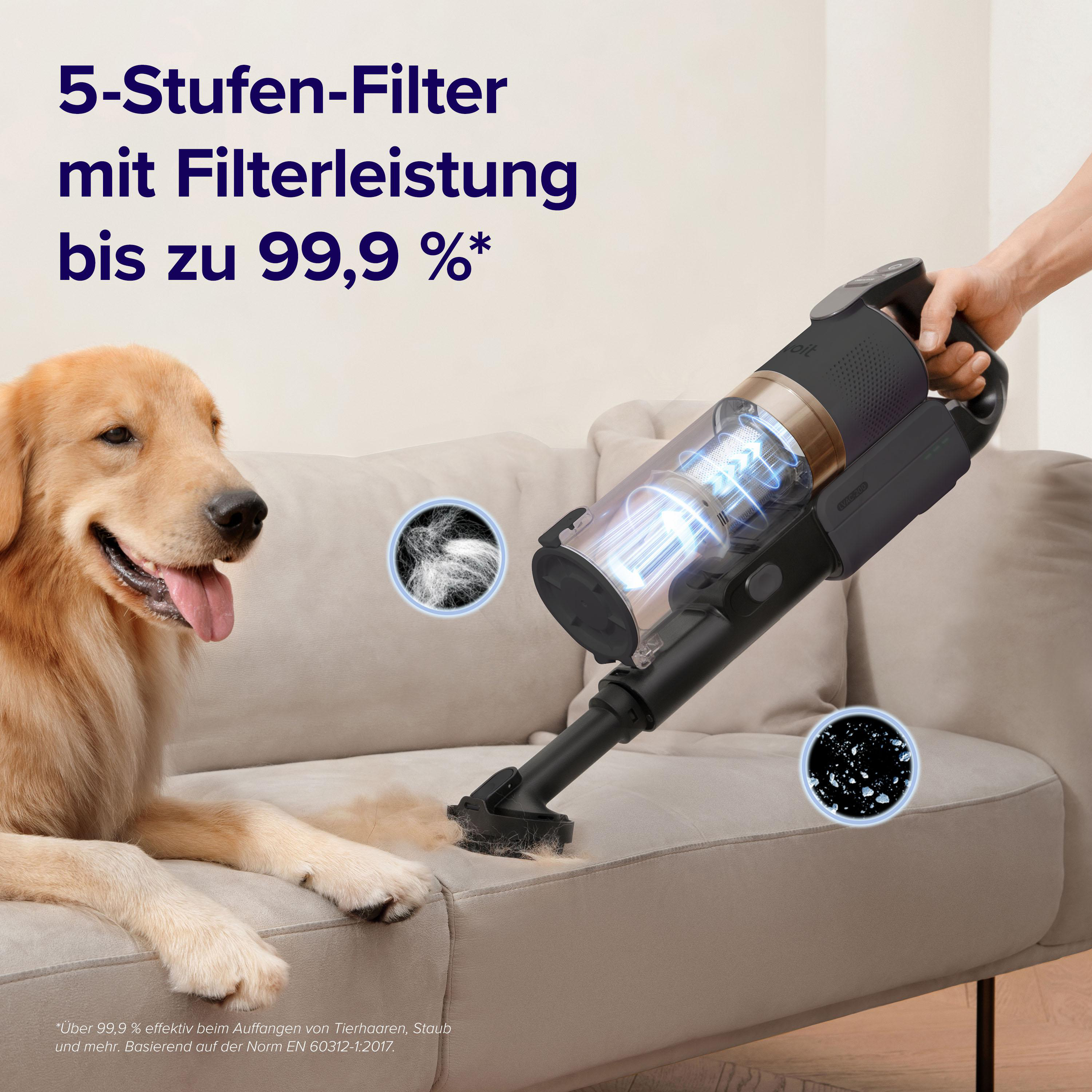 Staubsauger reinigt eine Couch. Hund und Partikel sind sichtbar. Text-Overlay.
