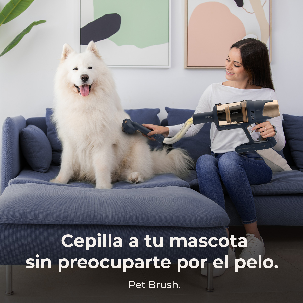 Mujer cepillando un perro blanco en un sofá azul, con texto en español.