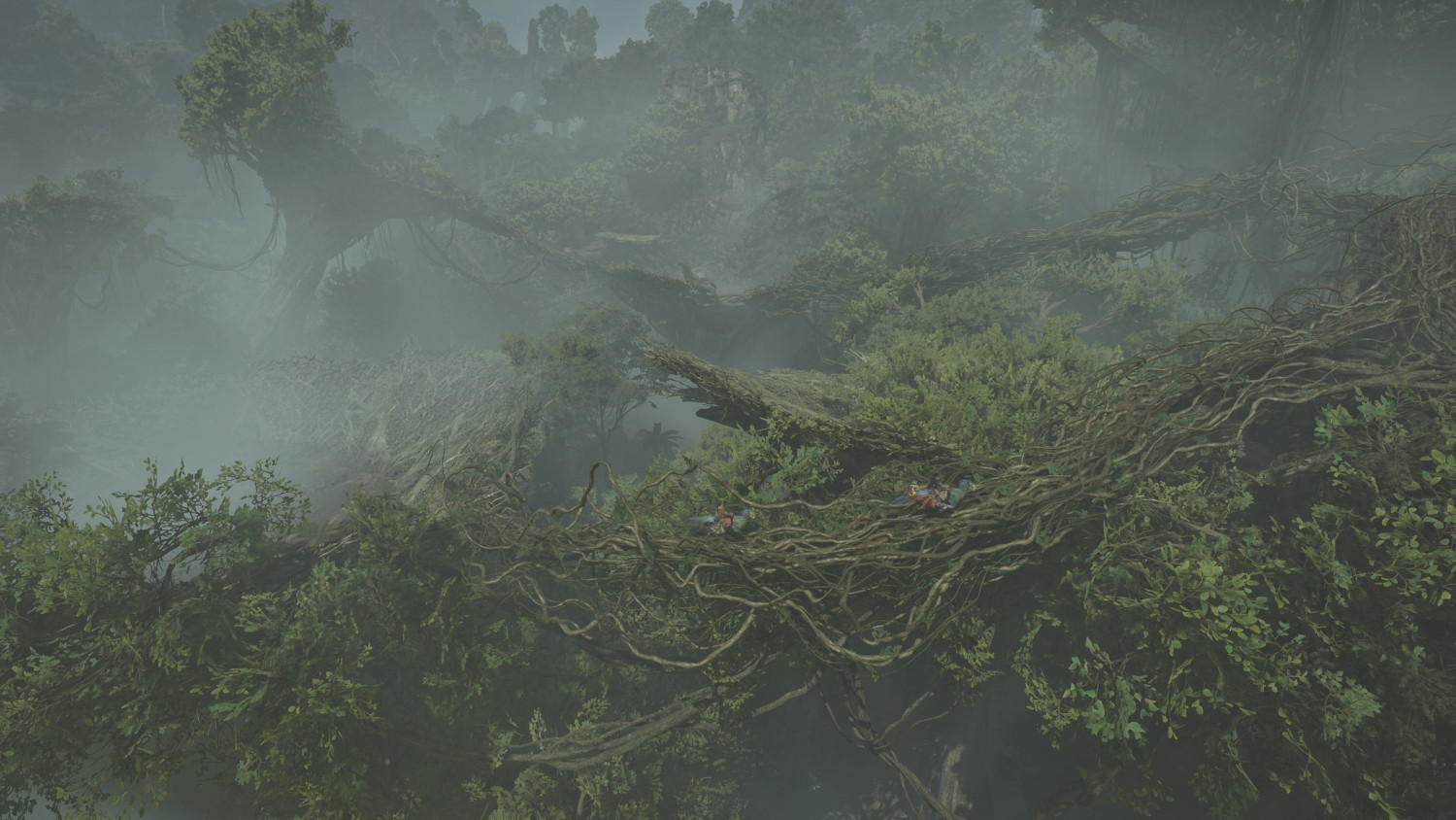 Vue aérienne d'une canopée de jungle luxuriante avec des vignes épaisses et du brouillard.
