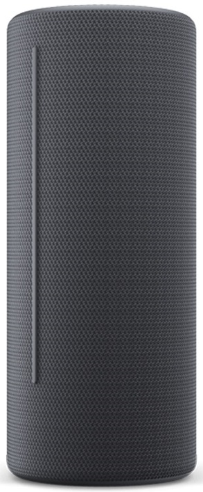 Głośnik Bluetooth We. Hear 2 Ciemnoszary