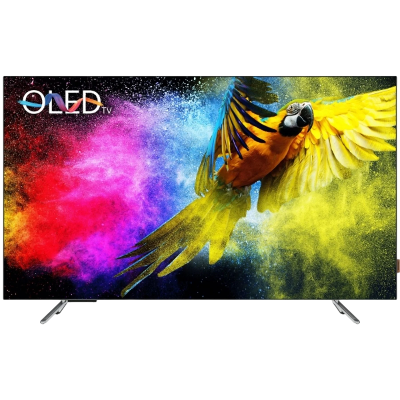 Uçan renkli bir papağanla OLED TV ekranı. Canlı renkler. Siyah çerçeve ve stand.