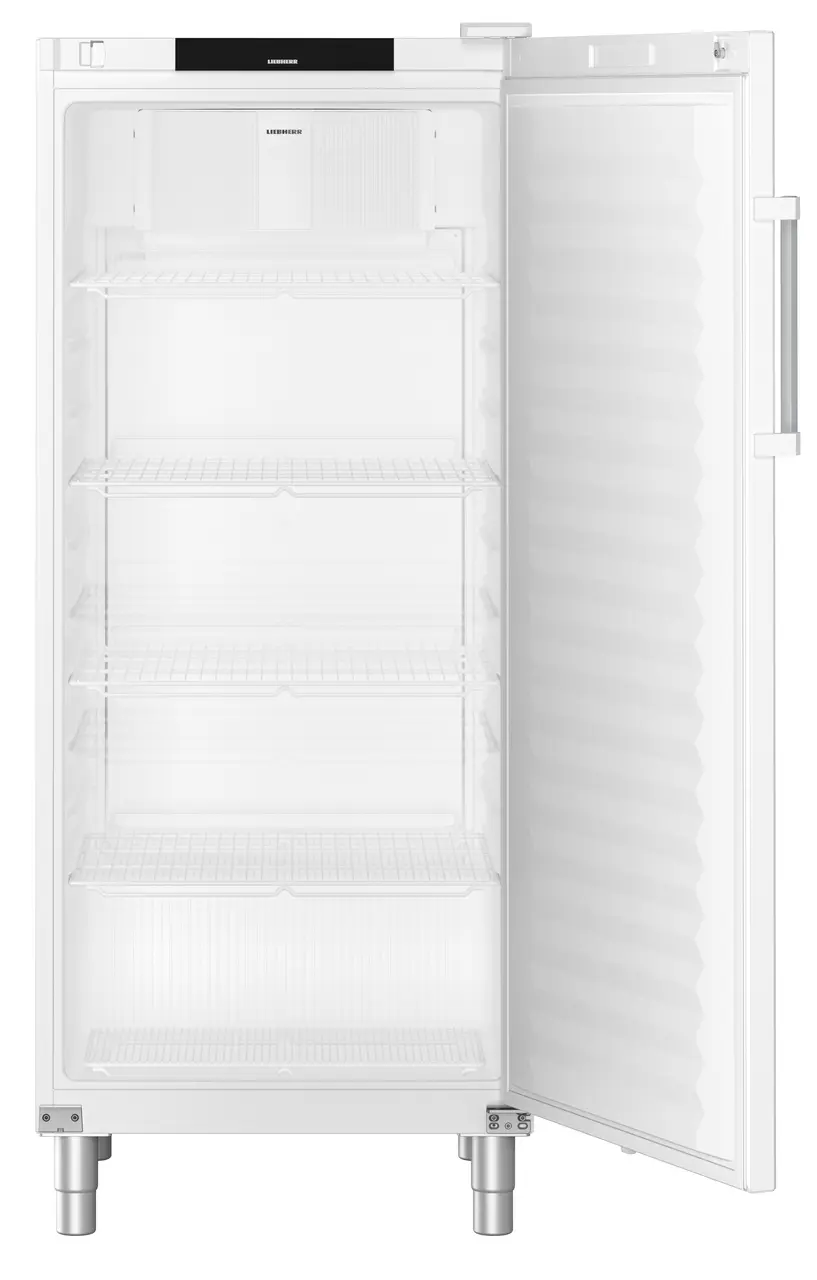 Weißer Kühlschrank mit offener Tür, sichtbaren Regalen und grauem Türgriff.