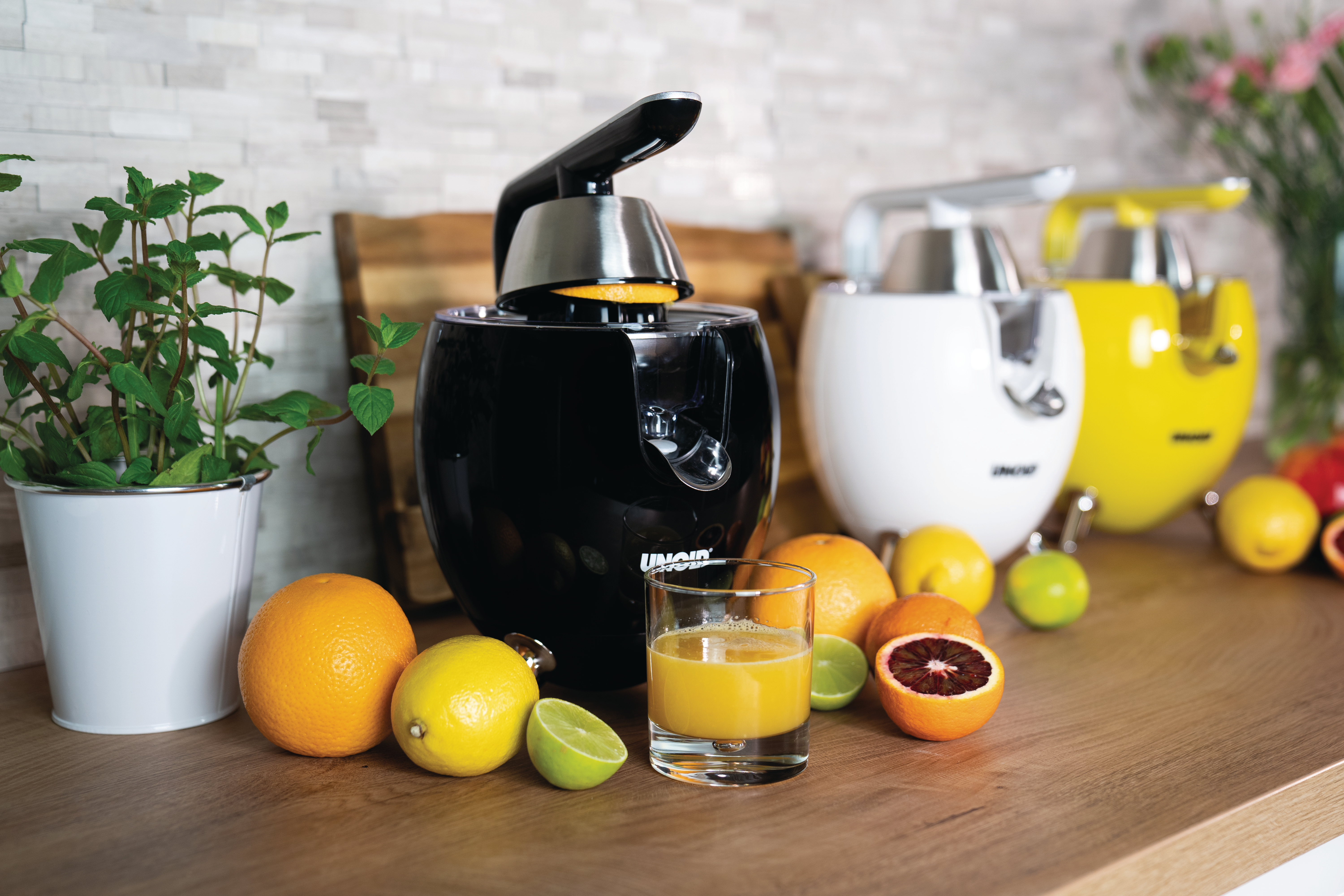 Entsafter mit Orangen, Zitronen und Saft. Ein schwarzer, zwei weiße, ein gelber.