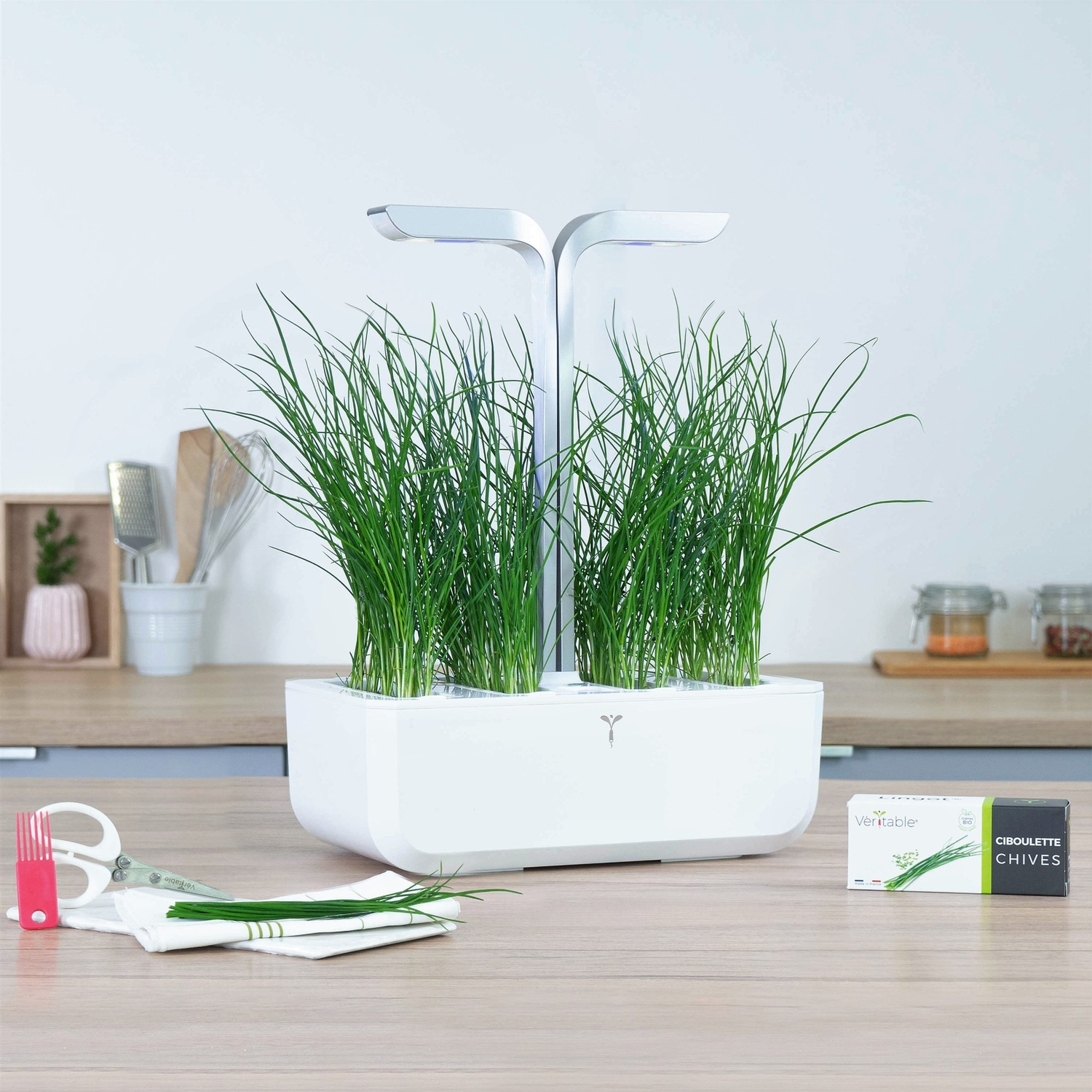Kit di coltivazione indoor con erba cipollina. Design bianco e argento su legno.
