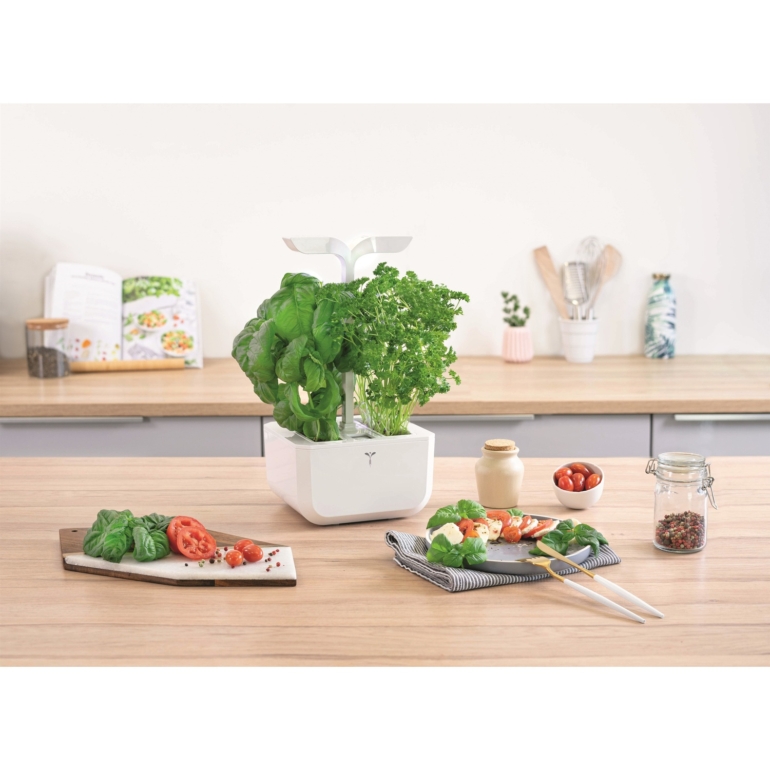 Giardino di erbe aromatiche interno con erbe, piatto con cibo e altri elementi su un tavolo di legno.
