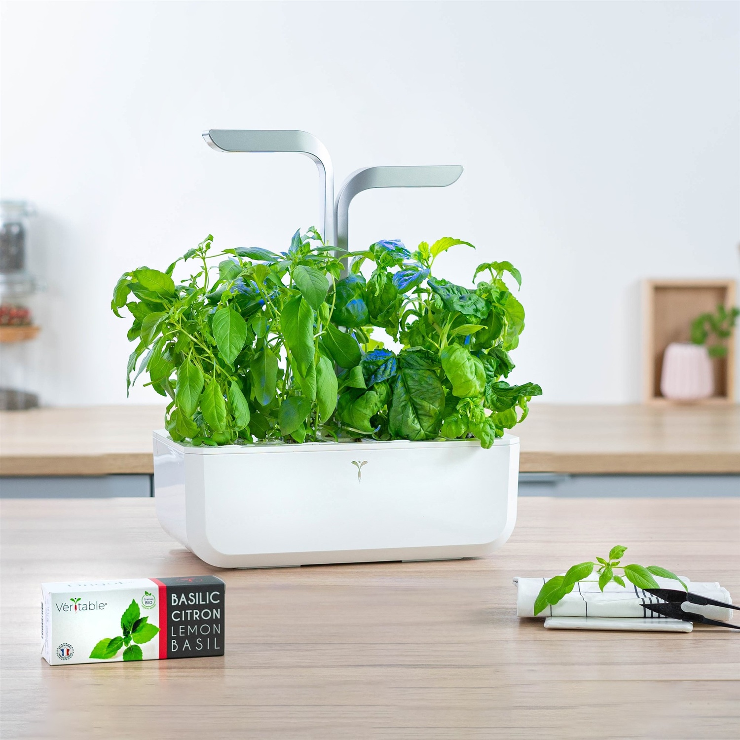 Un giardino interno bianco con piante verdi, basilico e due luci di coltivazione a LED argentate.