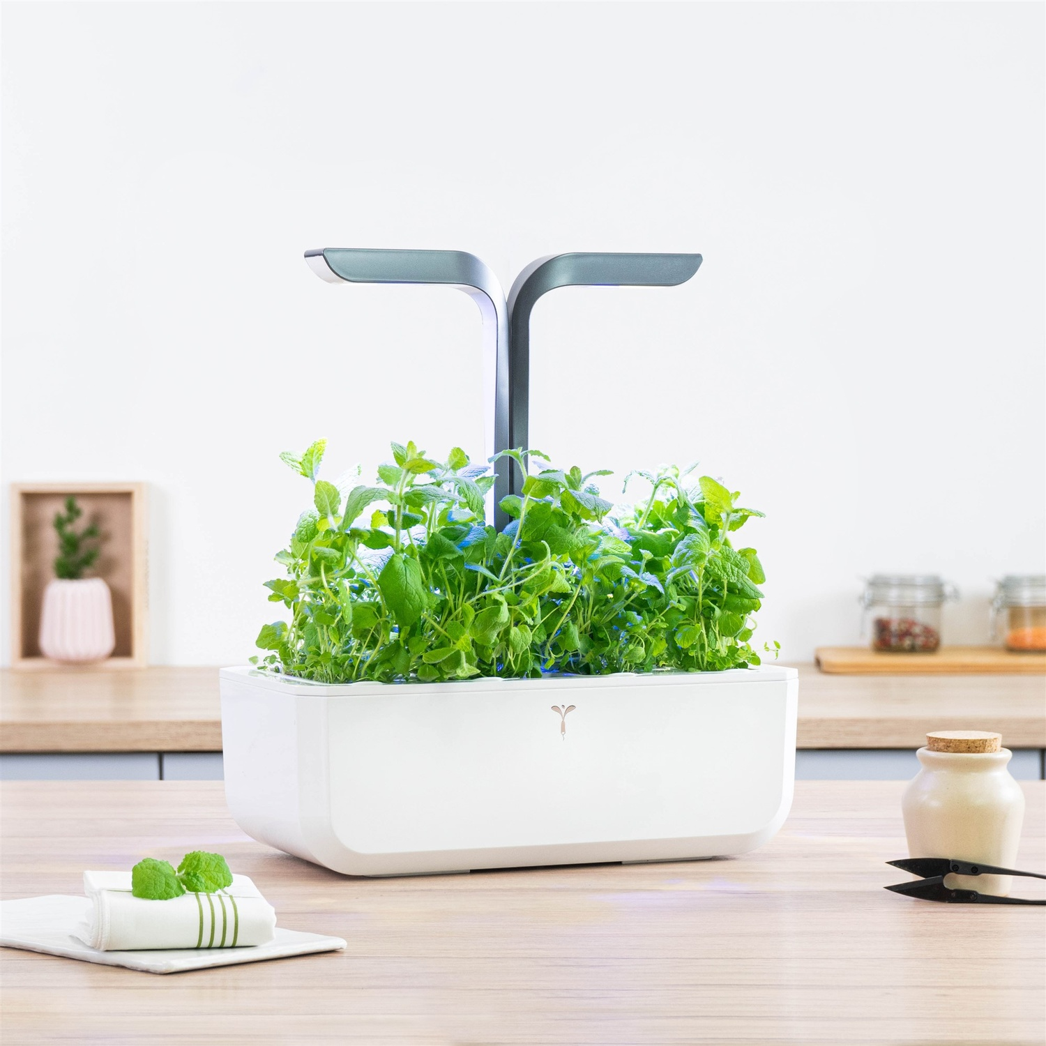 Un giardino di erbe aromatiche bianco per interni con due luci e piante verdi su un tavolo di legno.