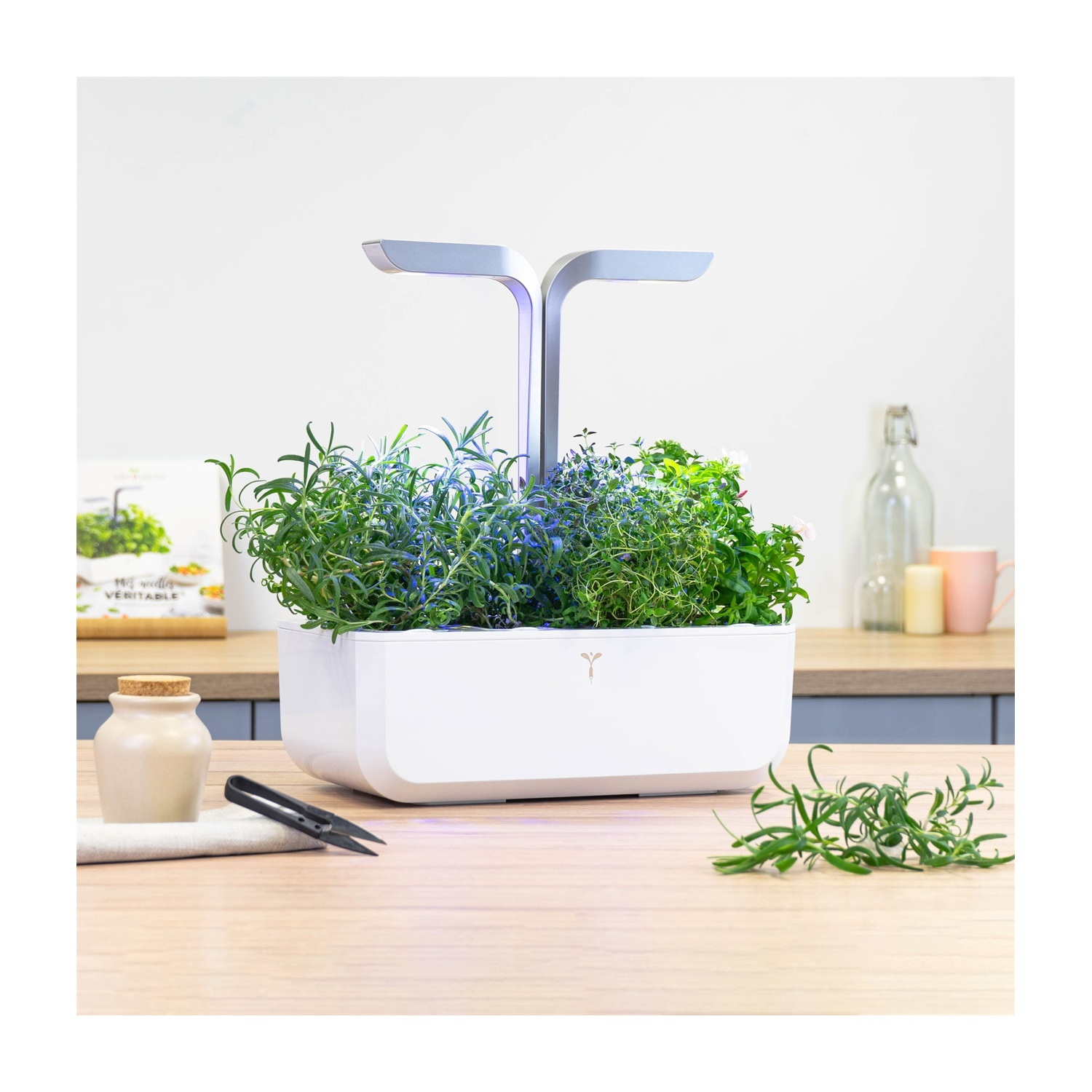 Giardino interno con erbe, illuminato da due luci LED, su un tavolo di legno.