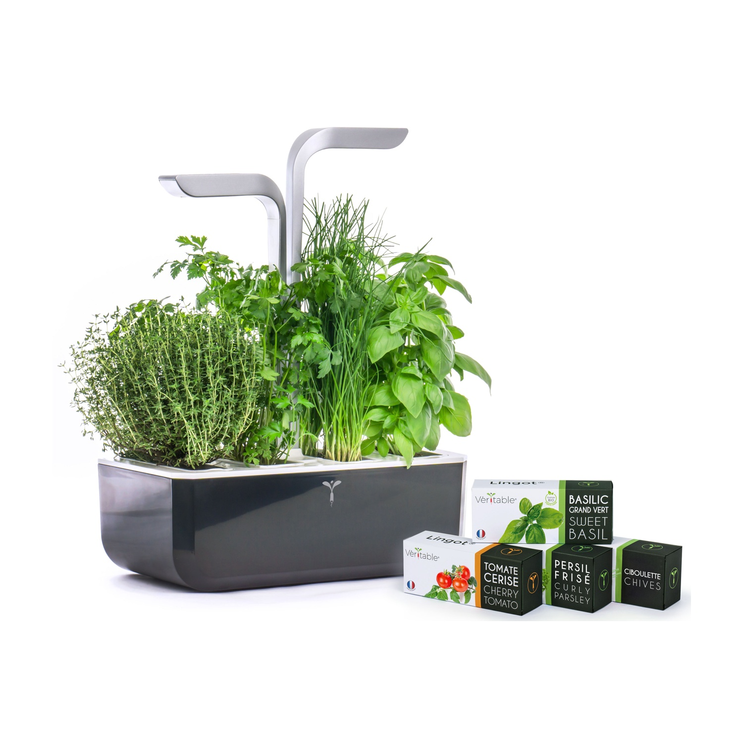 Giardino interno con erbe. Contenitore scuro con piante verdi e diversi pacchetti di semi.