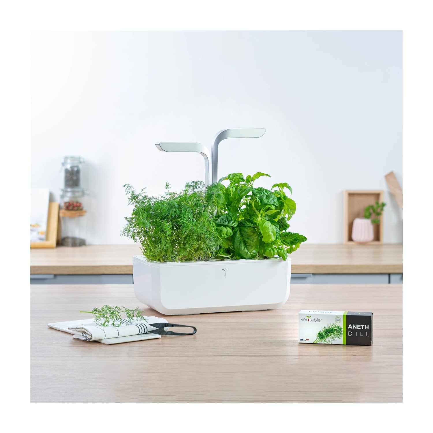 Un giardino da banco bianco con piante. Un pacco di semi di aneto e un taccuino sono anche sul tavolo.